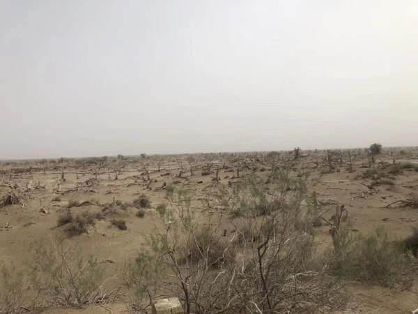 福田區(qū)刑事律師告訴你什么才是黑社會,黑社會組織的基礎特征是什么?