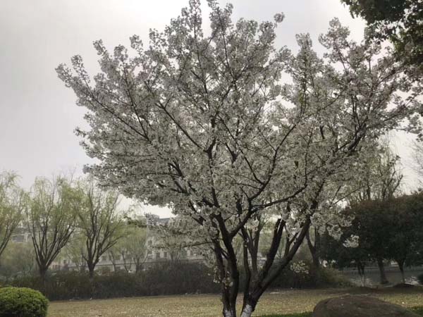 離婚后多久可以再婚?深圳知名婚姻律師為您解答