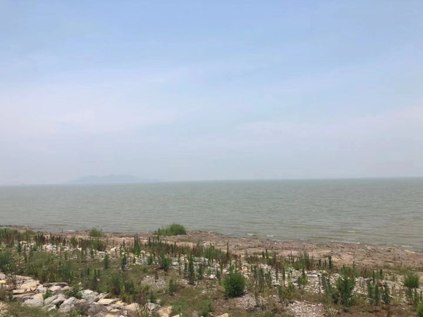 買小產權房拆遷時有沒有拆遷補償?深圳律師咨詢網最新解讀