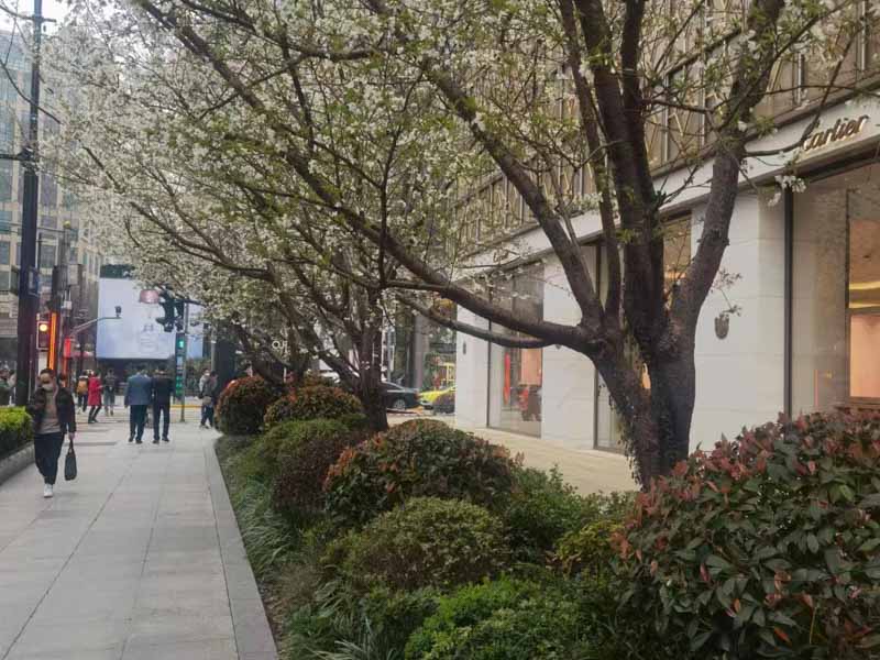 深圳債務律師為您解答債務人沒有財產(chǎn)是否需要繼續(xù)起訴