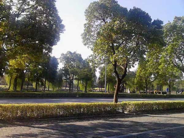 龍崗律師事務所為您講解被執行人的養老金是否能夠執行