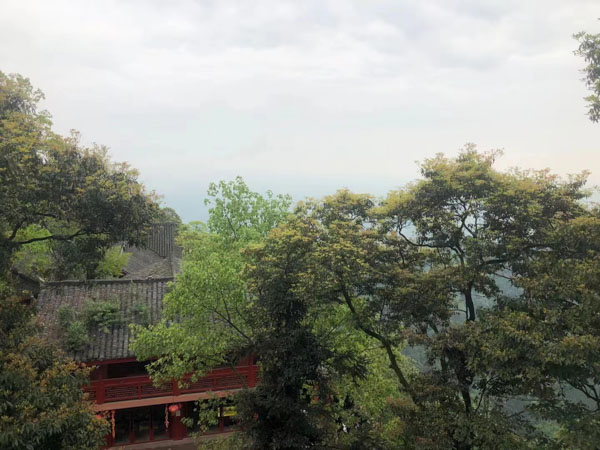 HR常遇到的法律問題匯總,深圳法律顧問讓你精準避坑!