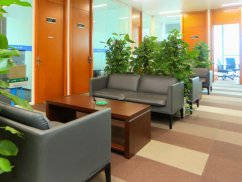 <b>深圳債務(wù)糾紛律師解析保證人行使不安抗辯權(quán)的條件</b>