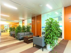 <b>深圳律師咨詢網視角下的生命救援：河北秦皇島五名大學生的生死時刻</b>