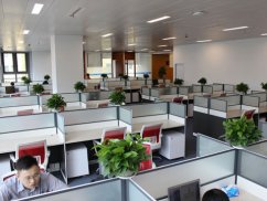 <b>龍崗區律師視角下的校園矛盾：教育公平與學生權益保障</b>